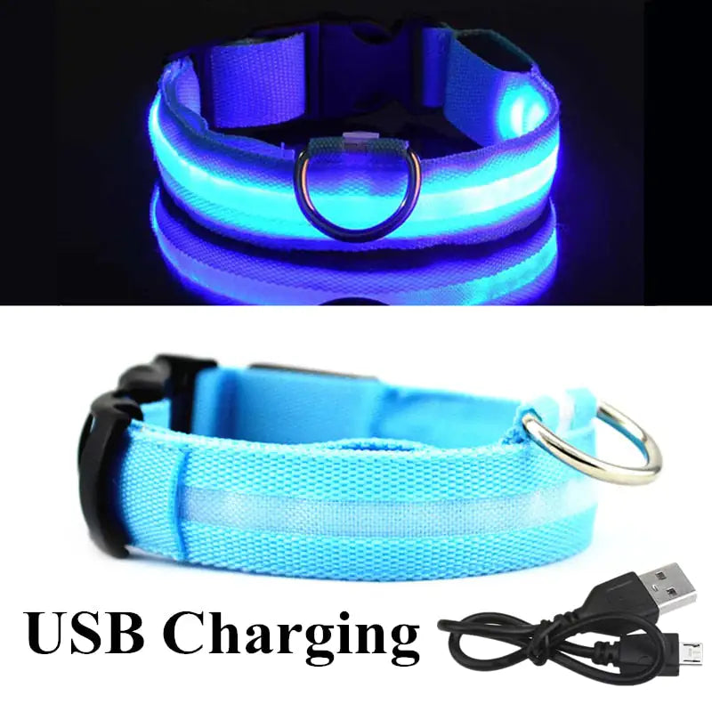 LED Dog Collar - Safety And Visibility For Night Walks