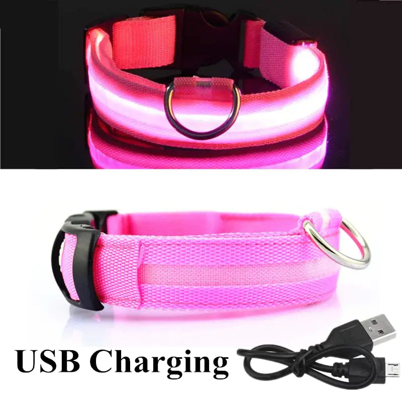 LED Dog Collar - Safety And Visibility For Night Walks